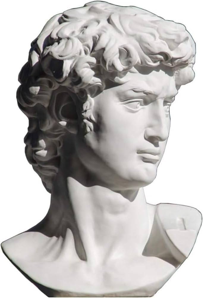 ダビデ×スカル アートオブジェ ダビデ像 胸像 インテリア 128-123 ダビデ×スカル アートオブジェ ダビデ像 胸像 インテリア 128